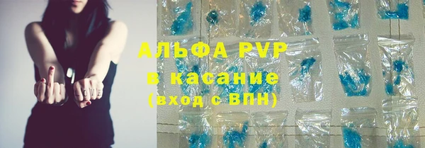 дмт Инта